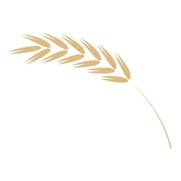 Cereal ear simple icon in flat vector illustration - ripe yellow agricultural 스톡 일러스트