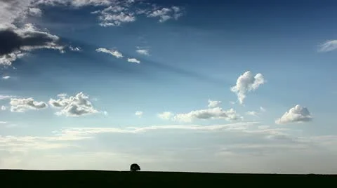 The cereal field, lonely tree, clouds time lapse Stock Footage 11114916