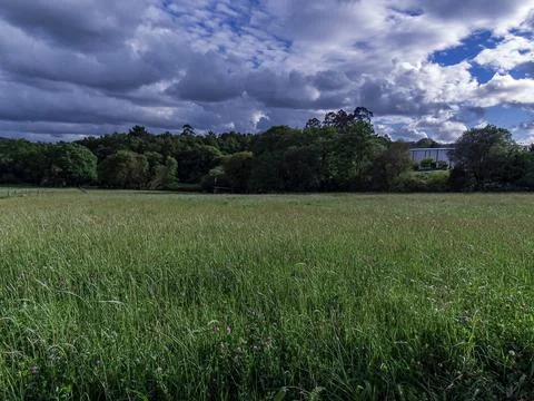 A Cereal field in Narn Stock Photos