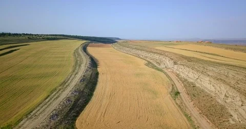 Cereal fields aerial 4K Stock Footage 77147804