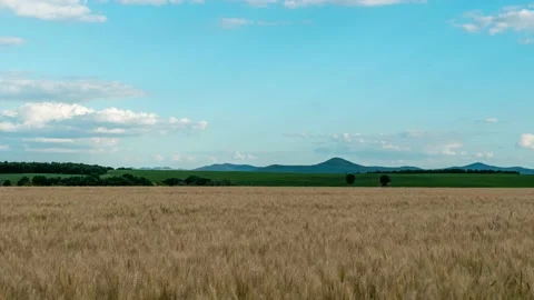 Cereal Fields and Beautiful Cloudy Skies Hyperlapse Stock Footage 199424386