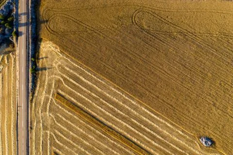 Cereal fields in Castilla y Leon Spain birds eye view Stock Photos