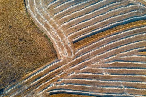 Cereal fields in Castilla y Leon Spain birds eye view Stock Photos