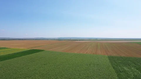 Cereal fields Stock Footage 113187035