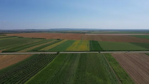Cereal fields Stock Footage 113190115