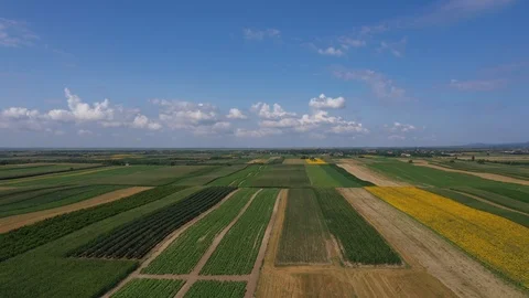 Cereal fields 動画素材 113190197