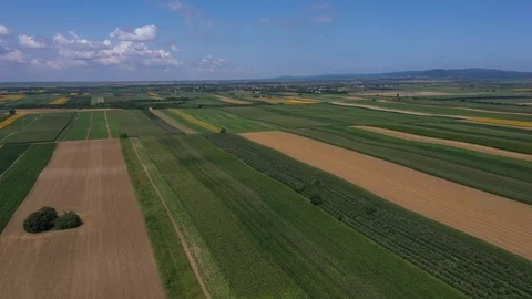 Cereal fields Stock Footage 113190491