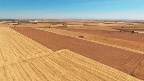 Cereal fields seen from the air in summer Stock Footage 113135959