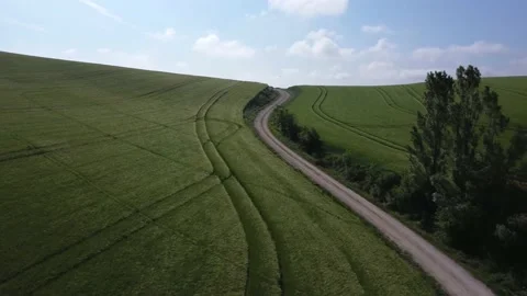 Cereal fields in spring. Vídeos de archivo 194495434