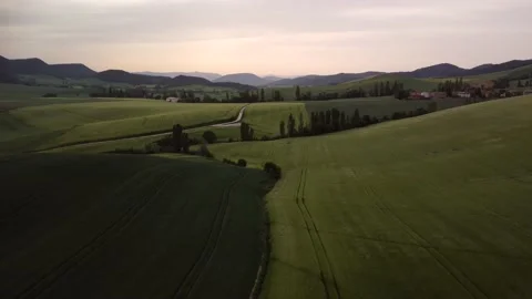 Cereal fields at sunset in spring Vídeos de archivo 195287124