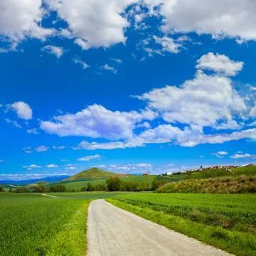 Cereal fields by The Way of Saint James in Castilla Stock Photos