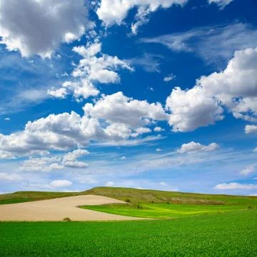 Cereal fields by The Way of Saint James in Castilla Stock Photos