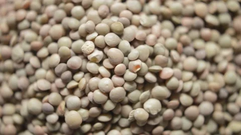 Cereal lentil grain background. rotating lentil cereal food. Video stock 237503966
