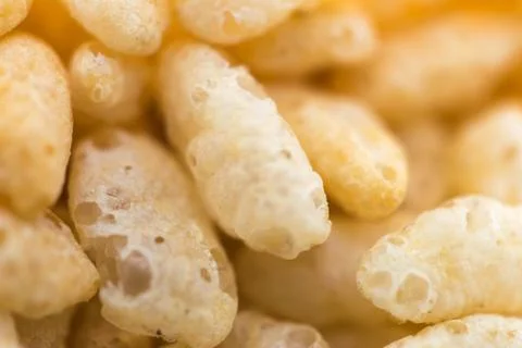 Cereal - This is a macro shot of breakfast cereal. Shot with a shallow depth of Stock Photos
