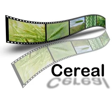 Cereal. Stock Photos
