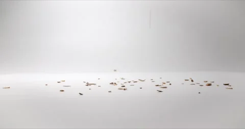 Cereal products are falling from a height. Chickpeas are the main driver of Stock Footage 149690120