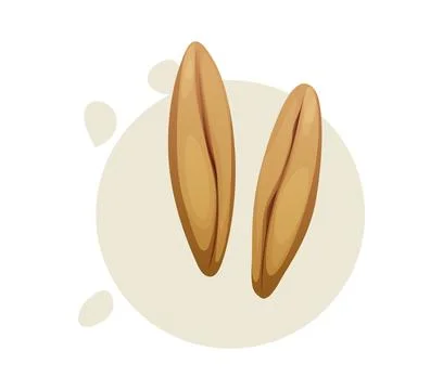 Cereal rye grains or kernels rich in dietary fiber Illustrazione stock