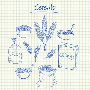 Cereals doodles - squared paper Stock Illustration