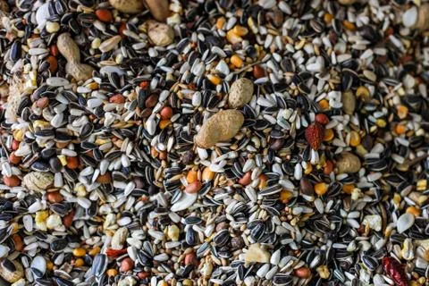 Cereals for feed Stock Photos