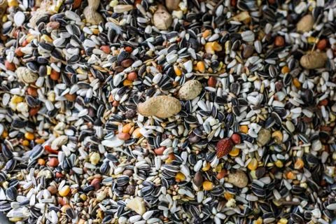 Cereals for feed Stock Photos