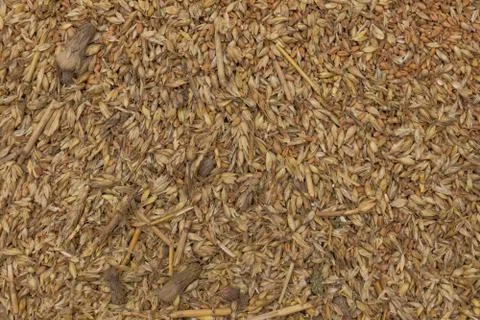 Cereals on the floor. Stock Photos