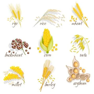 Cereals Icon Set 스톡 일러스트