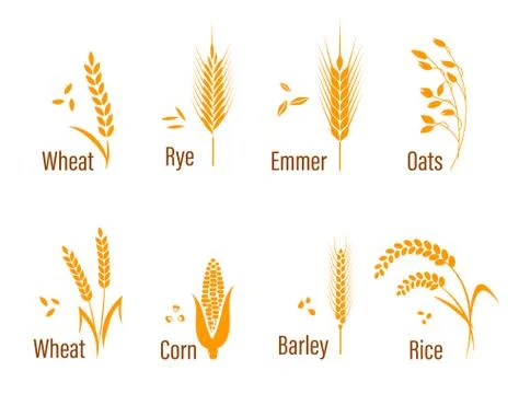 Cereals icon set. Stock Illustration
