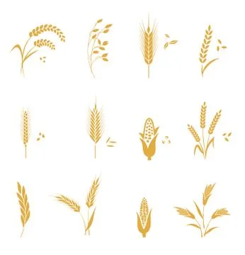 Cereals icon set with wheat. Stock Illustration