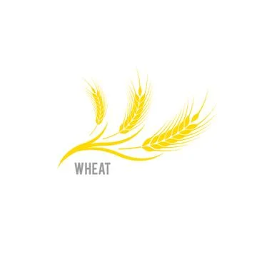 Cereals icon. Vector logo design and elements of wheat grain, wheat ears, wheat Stock Illustration