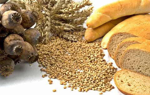 Cereals isolated Stock Photos