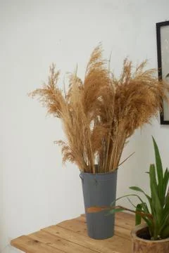 Cereals in a vase in a stylish interior.Boho or minimalism. Stock Photos