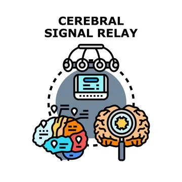Cerebral signal relay concept mapping brain activity Stock Illustration
