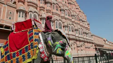 Ceremonial decorated Elephant, Palace of the Winds, India Stock Footage