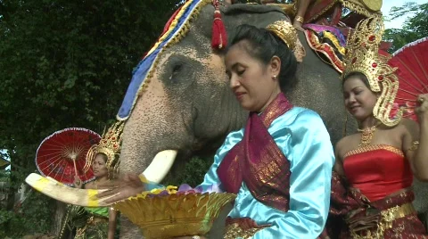 Ceremonial displays Vídeo Stock 536273