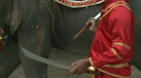 Ceremonial displays Stock Footage 536336