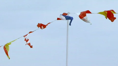 Ceremonial flags Stock Footage 619355