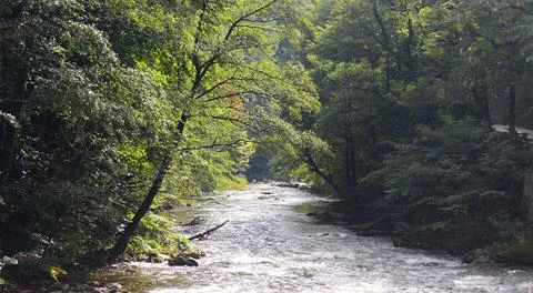 Cerna river landscape Stock Photos