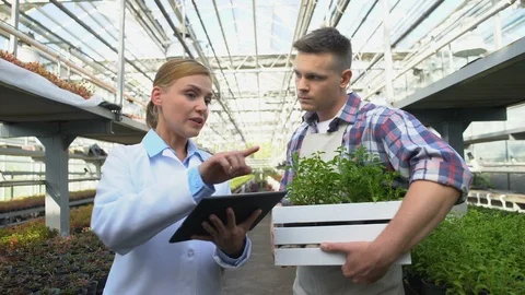 Certification expert checking farm, discussing farming technology with farmer Stock-Footage 118960653