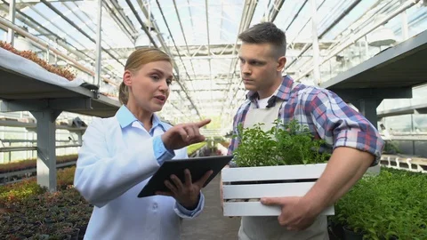 Certification expert checking farm, discussing farming technology with farmer Stock-Footage 118974846