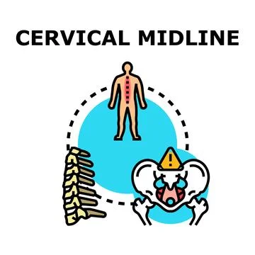 Cervical midline vector illustration with human spine and pelvis Stock Illustration