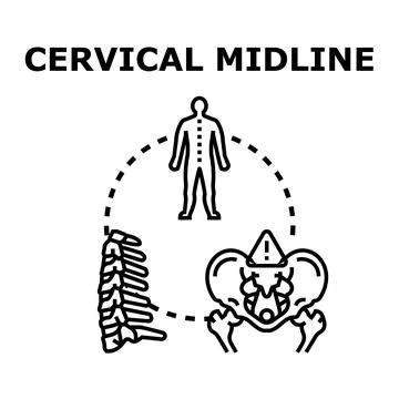 Cervical midline vector illustration with human spine and pelvis Stock Illustration