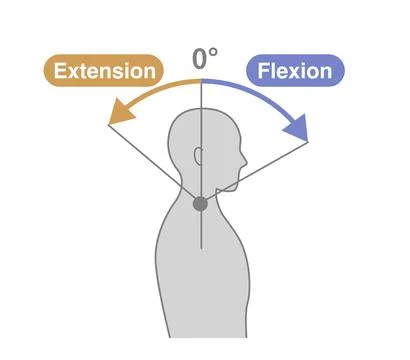 Cervical Spine and Neck Range of Motion (ROM) Illustration Stock-Illustration