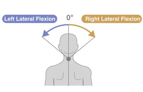 Cervical Spine and Neck Range of Motion (ROM) Illustration Stock-Illustration