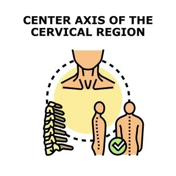 Cervical spine axis alignment and human posture check Stock Illustration