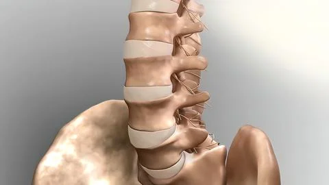 Cervical spine .Chronic Low Back Pain Stock Illustration