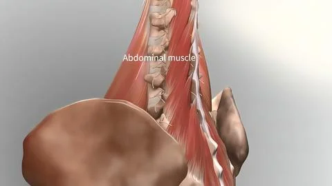 Cervical spine .Chronic Low Back Pain Stock Illustration