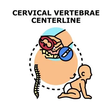 Cervical vertebrae centerline concept vector illustration Stock Illustration