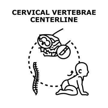 Cervical vertebrae centerline concept vector illustration Illustrazione stock