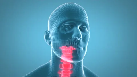 Cervical Vertebrae Stock Footage 154658605
