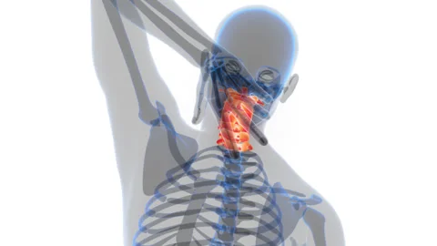 Cervical Vertebrae of Human Skeleton System Anatomy Animation Concept Stock-Footage 286014465